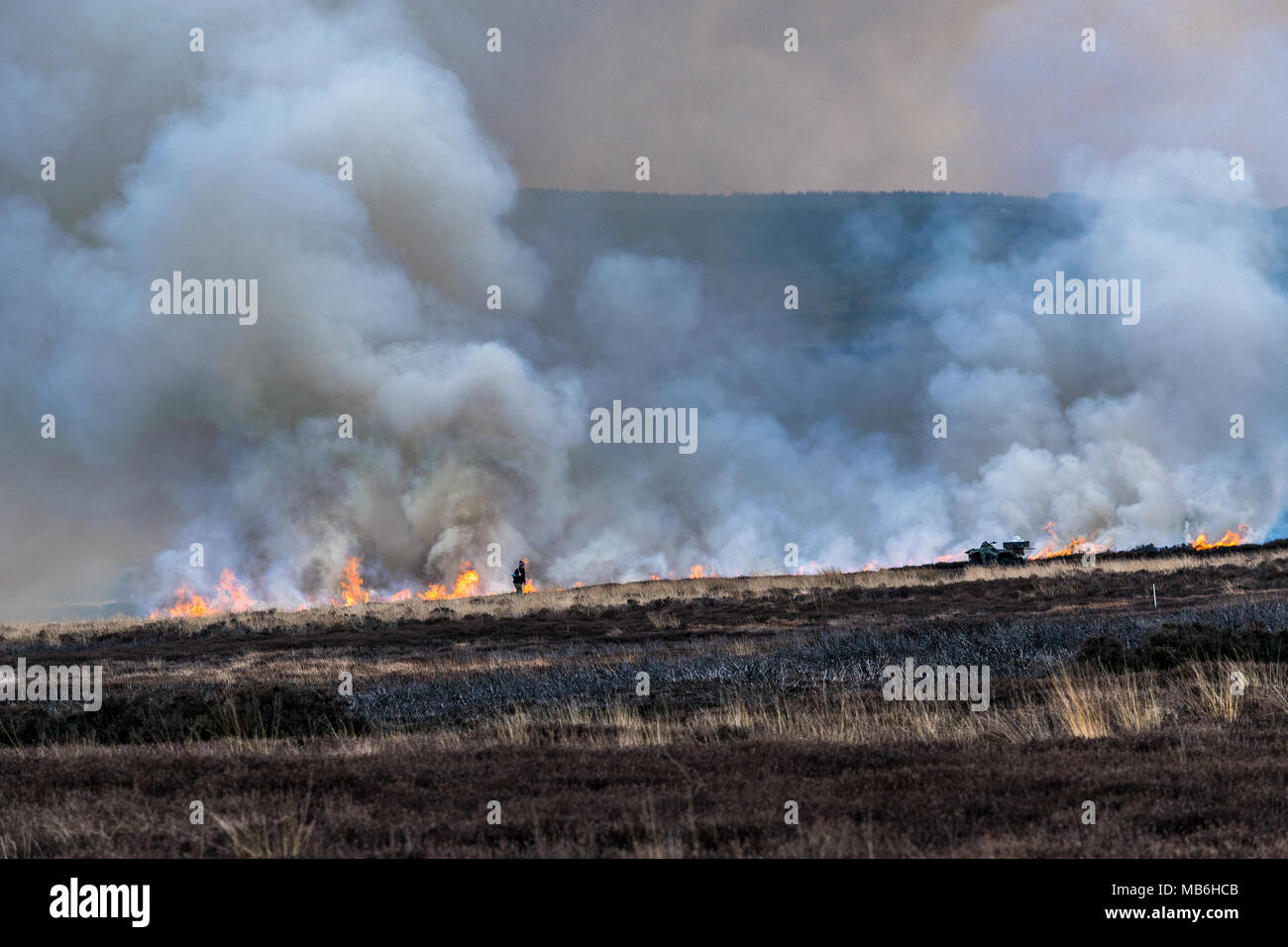 Burning the Moors. North Yorks Moors. England Stock Photo