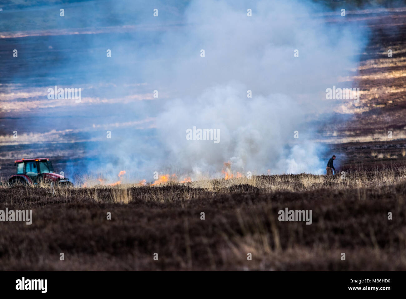 Burning the Moors. North Yorks Moors. England Stock Photo