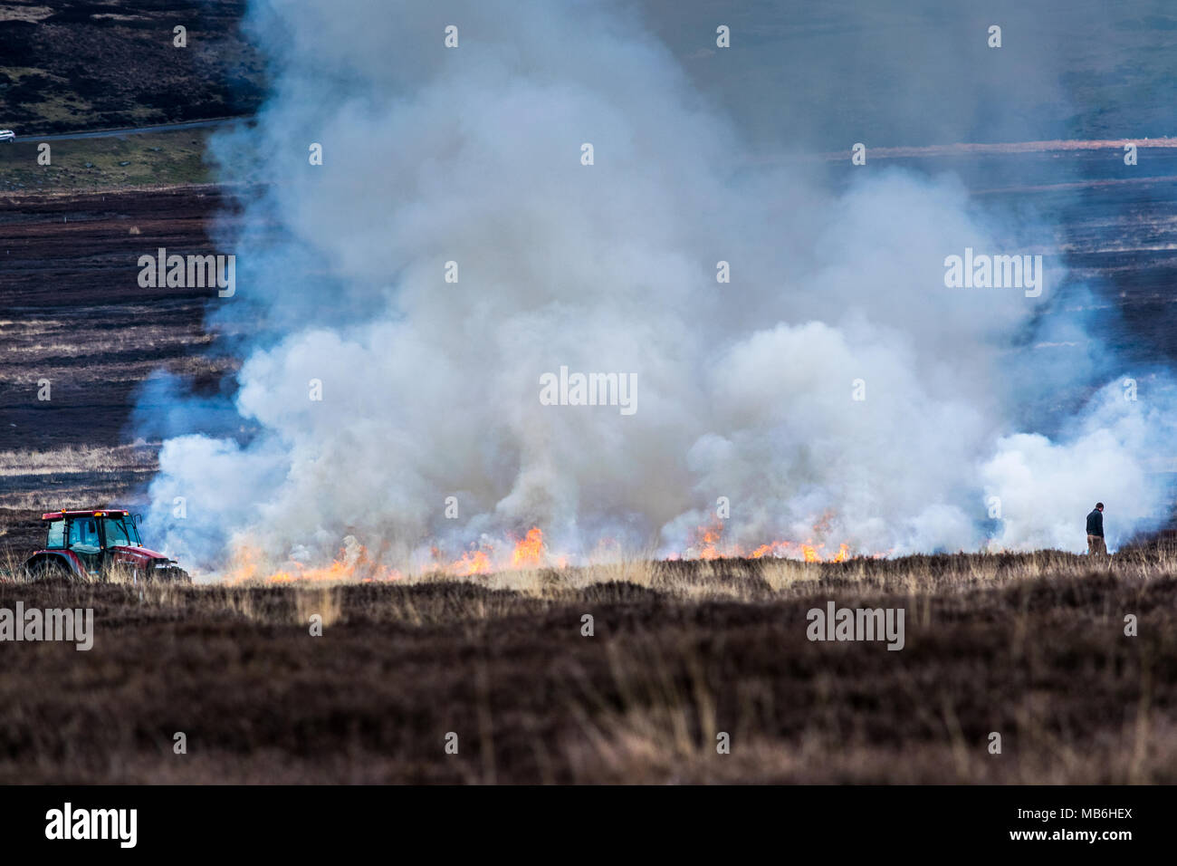 Burning the Moors. North Yorks Moors. England Stock Photo