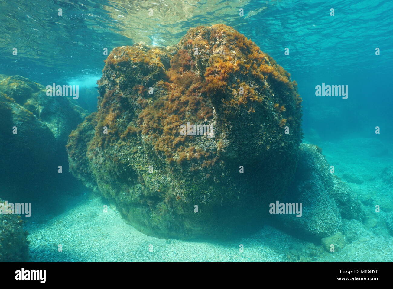 Underwater a large rock below sea surface, Mediterranean, Costa Brava, Cap de Creus, Catalonia, Spain Stock Photo