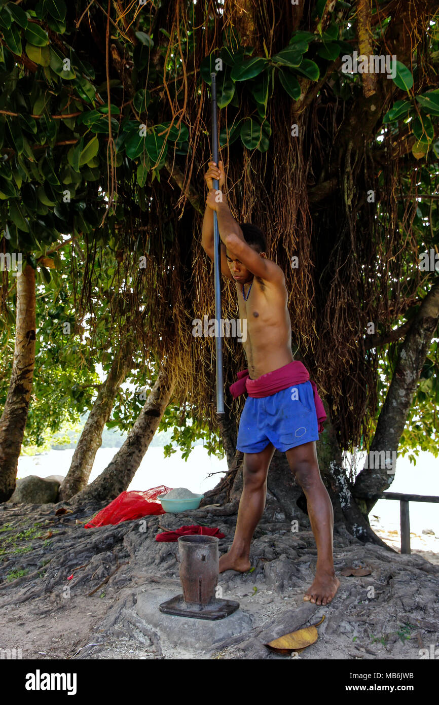 Young man pounding kava roots in Lavena village, Taveuni Island, Fiji. The roots are used to produce a drink with sedative, anesthetic, euphoriant, an Stock Photo