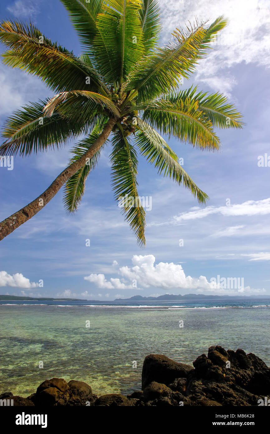 coastline-in-lavena-village-on-taveuni-island-fiji-taveuni-is-the