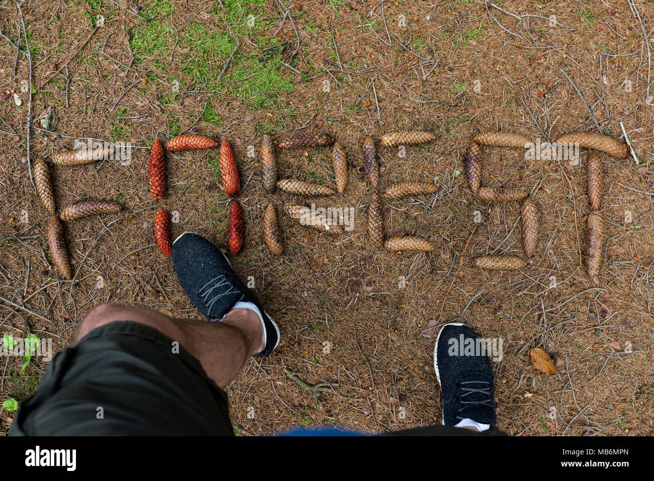 Human killing the forest. Word forest made by cone on the ground Stock