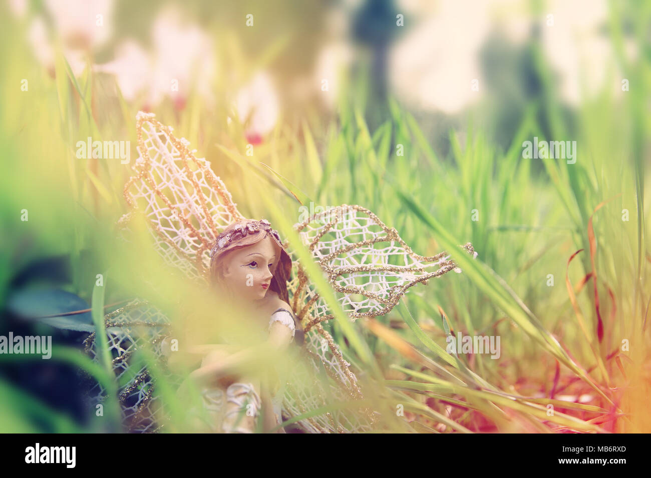 image of magical little fairy sitting in the forest Stock Photo - Alamy