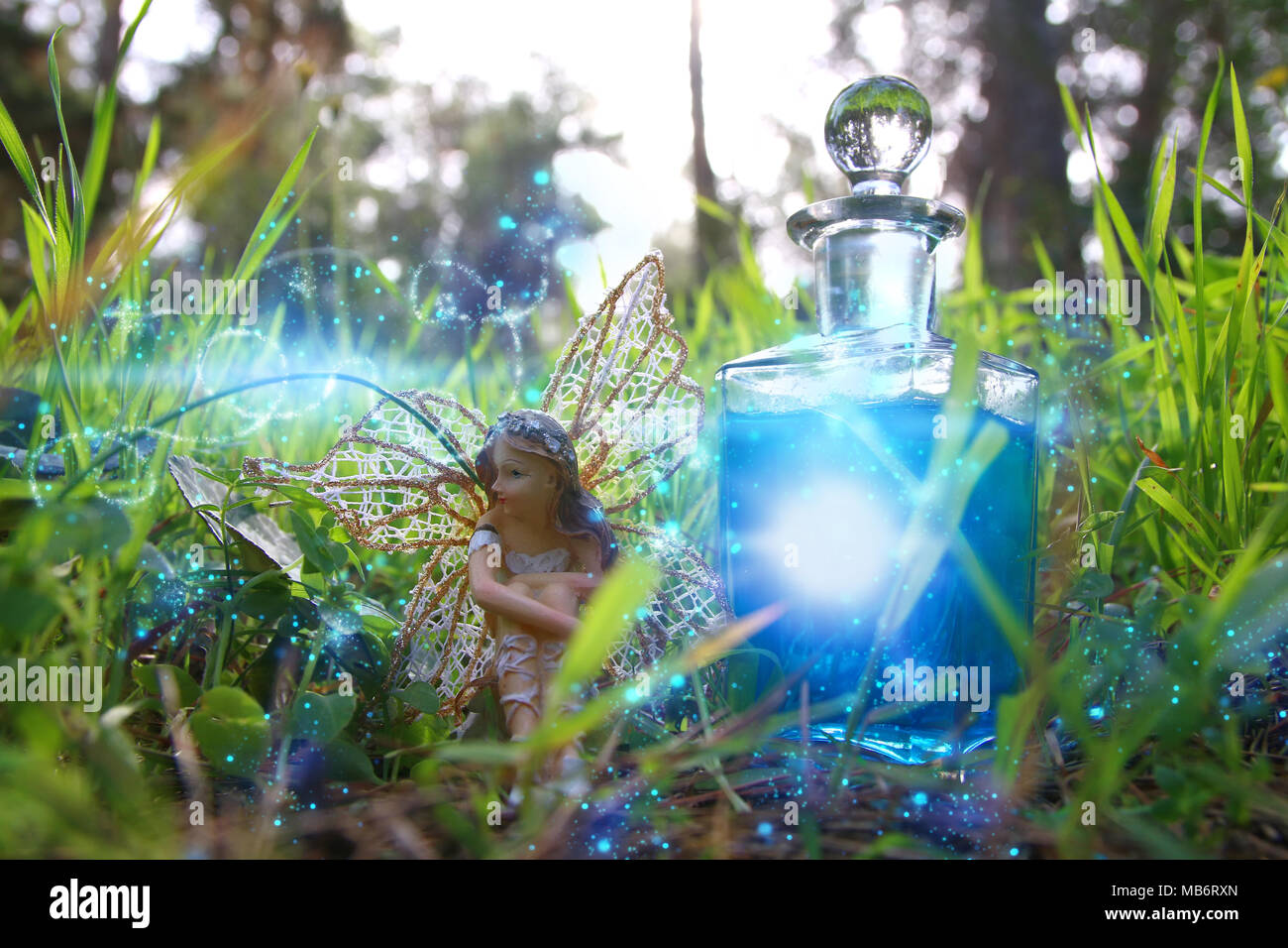image of magical little fairy sitting in the forest Stock Photo - Alamy