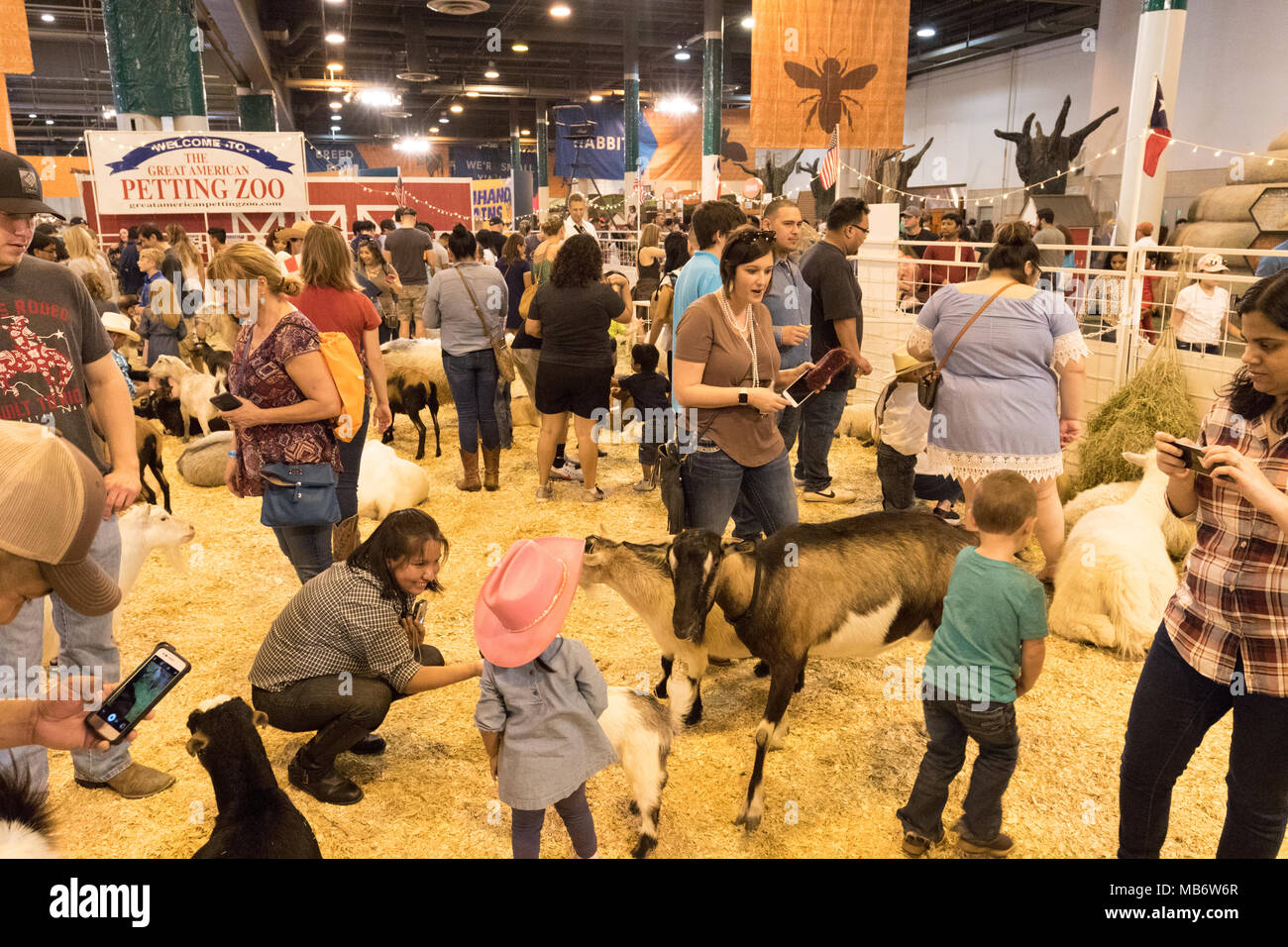 Parents, young children and animals in the Petting Zoo, Houston Livestock Show and Rodeo, Houston, Texas USA Stock Photo