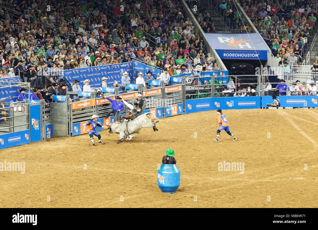Cowboy riding a bucking bull, Houston Livestock Show and Rodeo, Houston