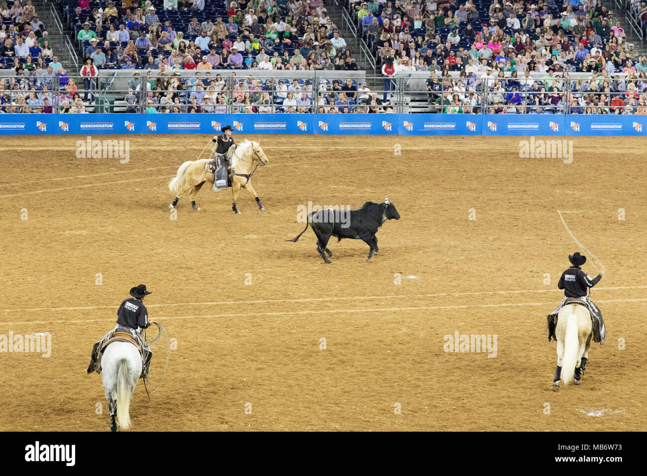 Texas Cowboys High Resolution Stock Photography and Images Alamy