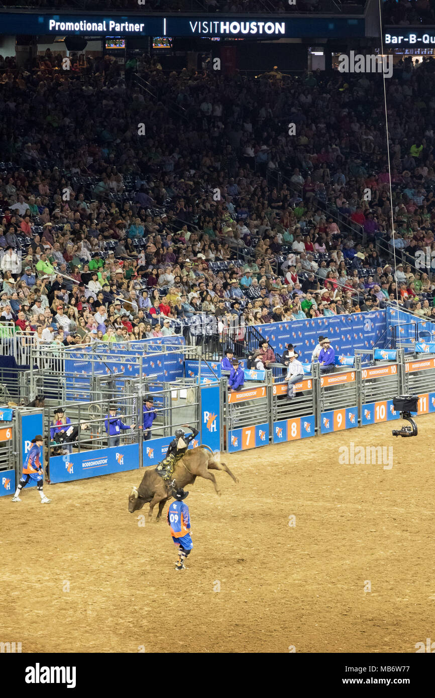 Cowboy riding a bucking bull, Houston Livestock Show and Rodeo, Houston