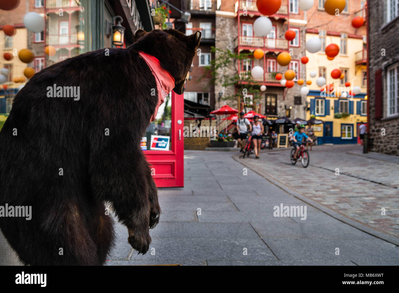 A stuffed bear waiting for its next meal along rue du Cul de Sac in Quebec  City (Canada Stock Photo - Alamy