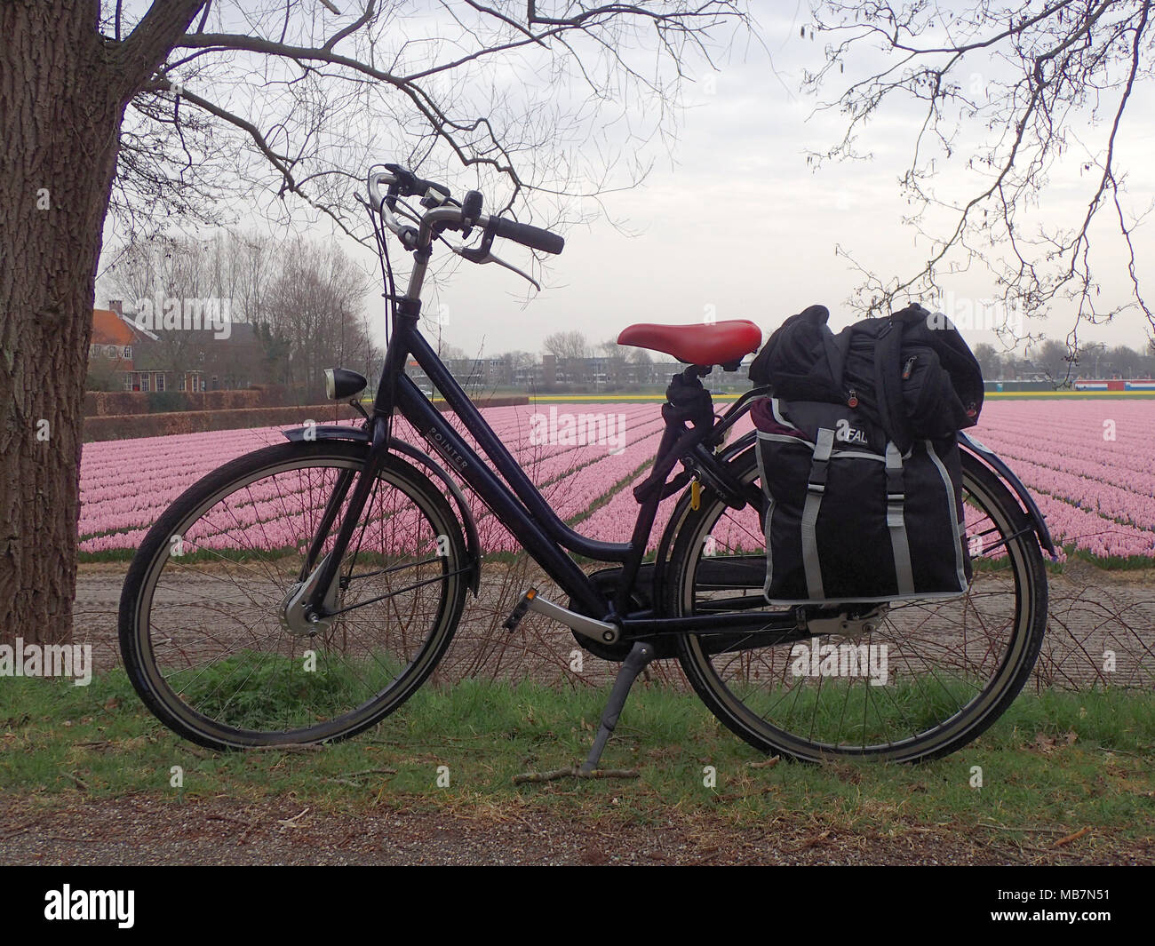 between cycle small