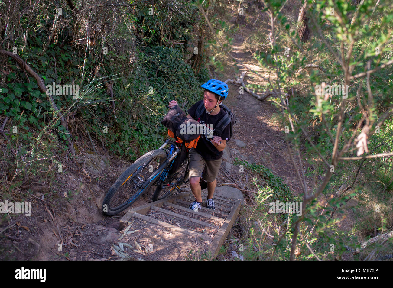 element push bike
