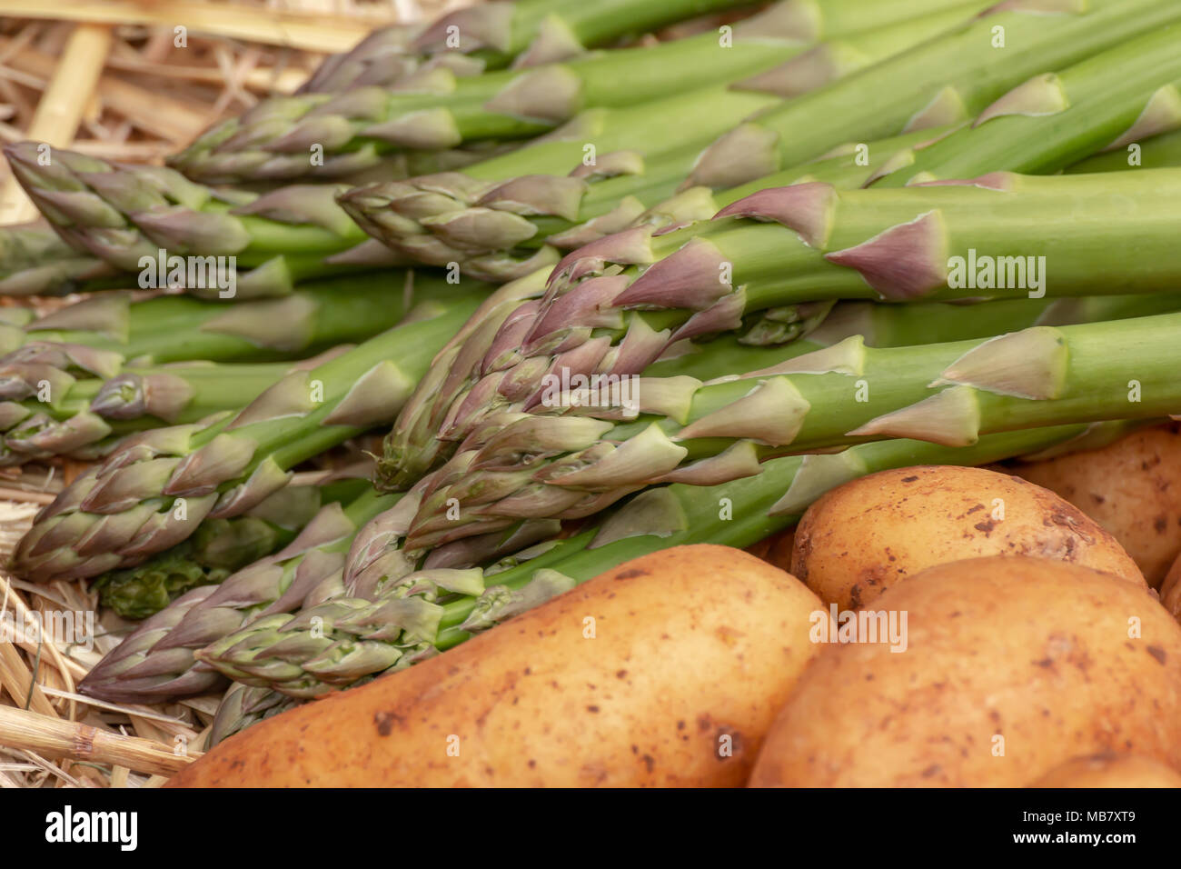 Fresh raw organic green asparagus and potatoes on straw background. Asparagus officinalis, Solanum tuberosum Stock Photo