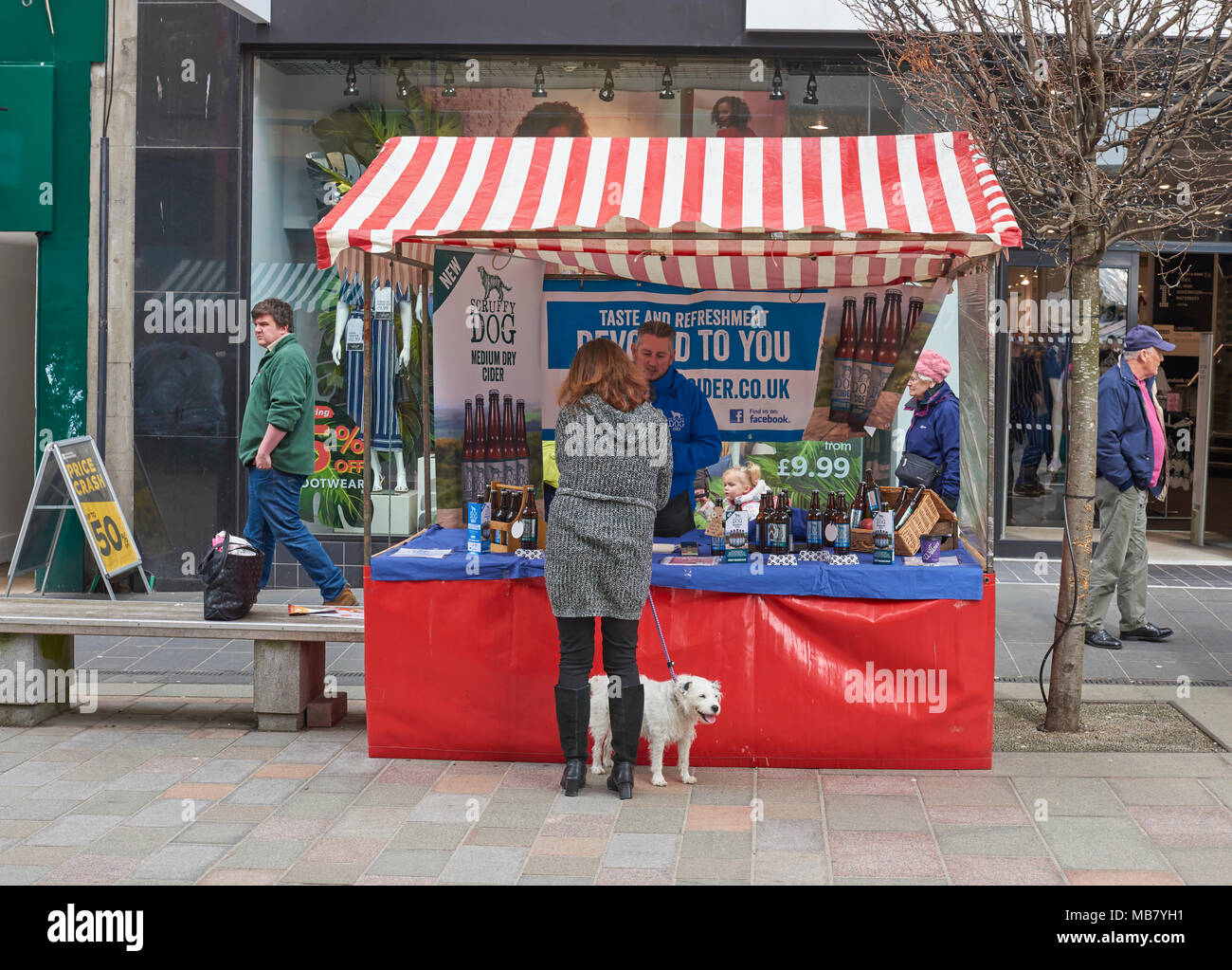 An  Owner of a Scruffy White Terrier, buying appropriately some produce from the Scruffy Dog Cider Stall at a Farmers Market in Perth, Scotland. Stock Photo