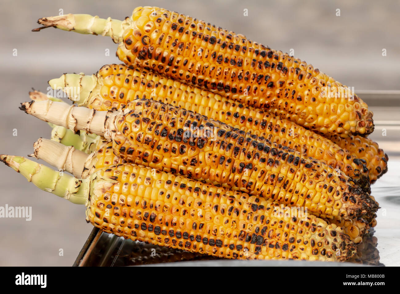 Corn roasted on fire, grilled maize, Zea mays Stock Photo