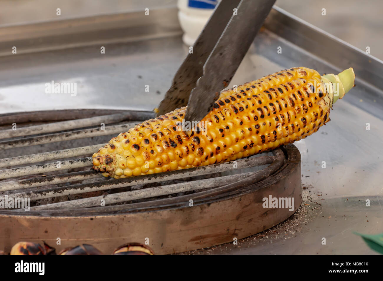 Corn roasted on fire, grilled maize, Zea mays Stock Photo Alamy