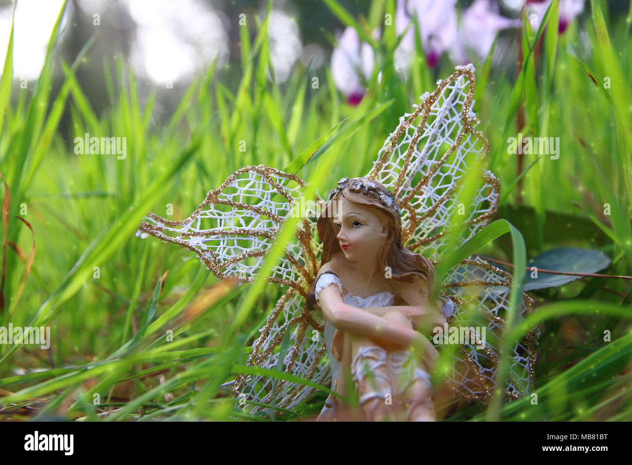 image of magical little fairy sitting in the forest Stock Photo - Alamy
