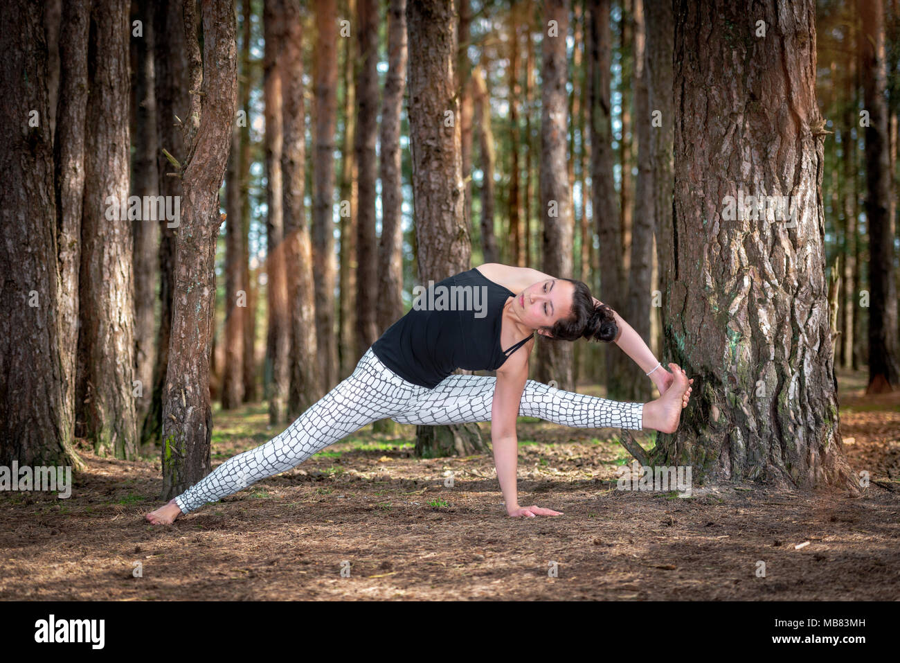 woman practicing yoga in the woods, Stock Photo