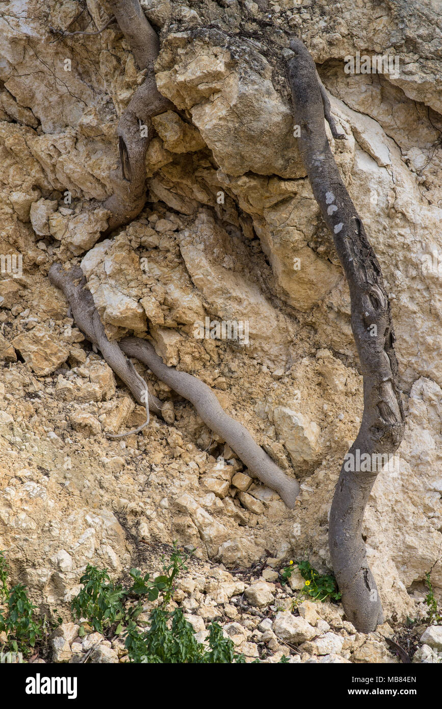 Unstable Terrain Stock Photos & Unstable Terrain Stock Images - Alamy