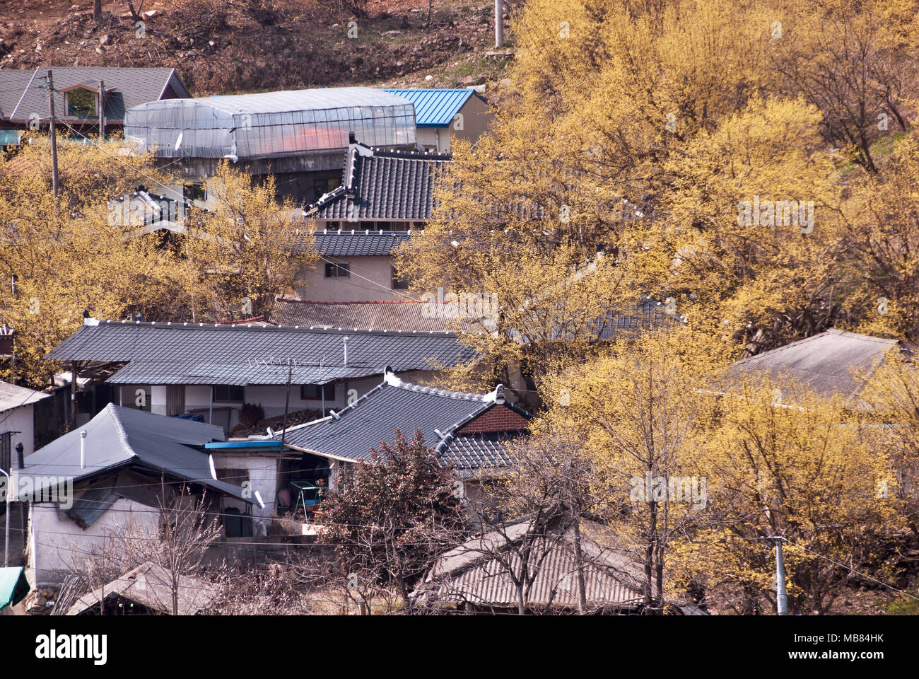 Cornus village of korea Stock Photo