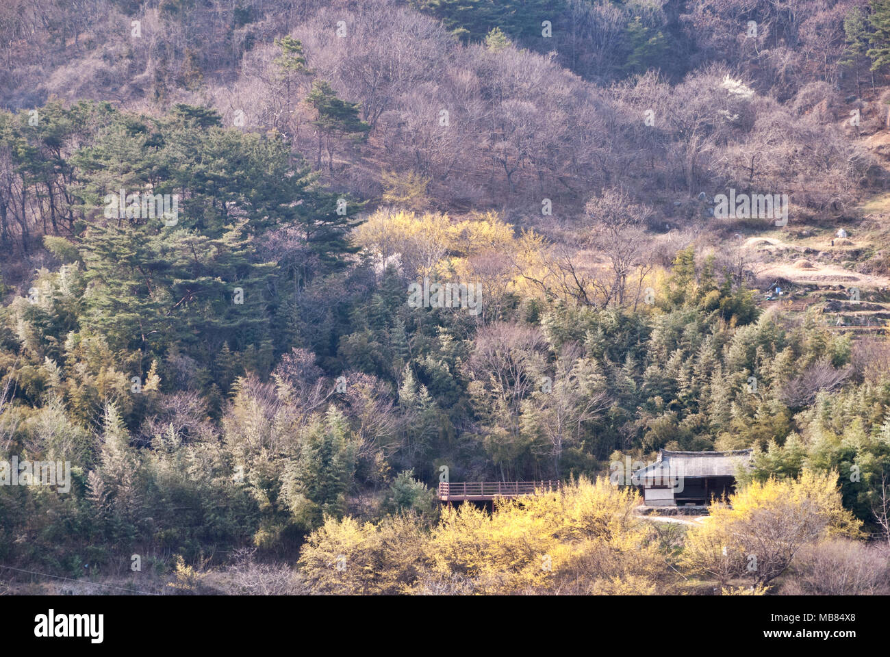 Cornus village of korea Stock Photo