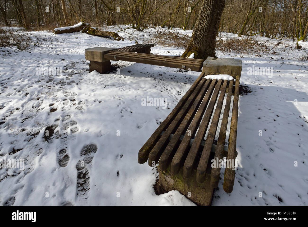 Woodland Seat in Snow, Charterhouse, Mendip Hills Stock Photo