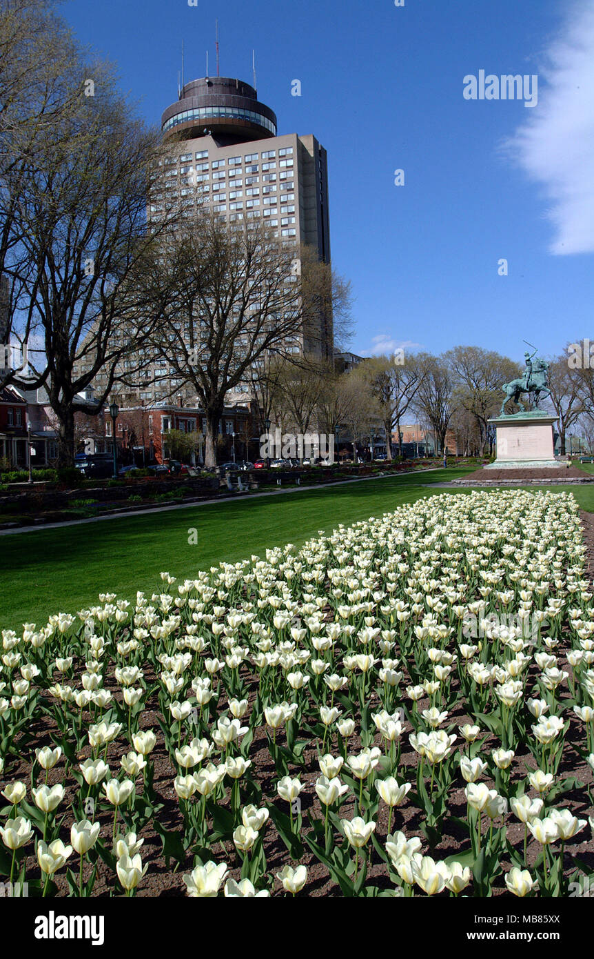 Former Quebec City Loews Hotel Le Concorde in summer, view from Joan of Arch Garden with beautiful white flowers Stock Photo
