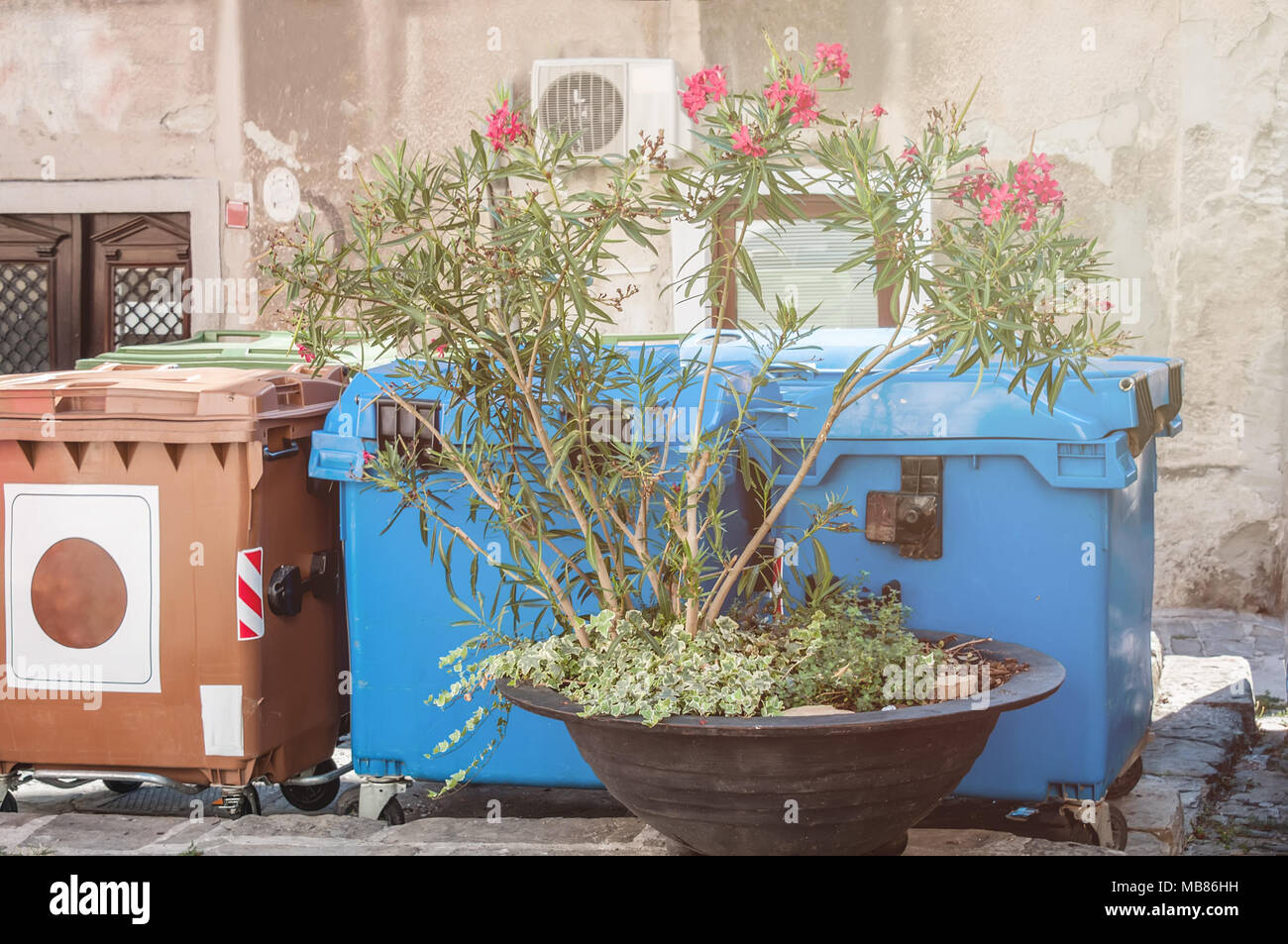 Containers for separate collection of garbage in the yard. The concept