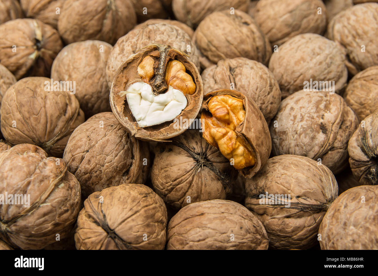 Walnut. Walnut kernel. Stock Photo