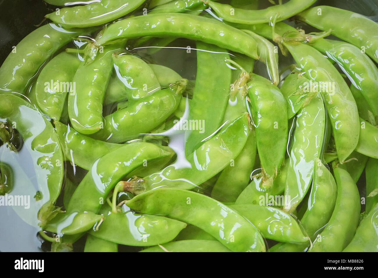 Vegetable, Fresh Green Peas Pods in Clean Water, High in Vitamin K, B, C and A. Stock Photo