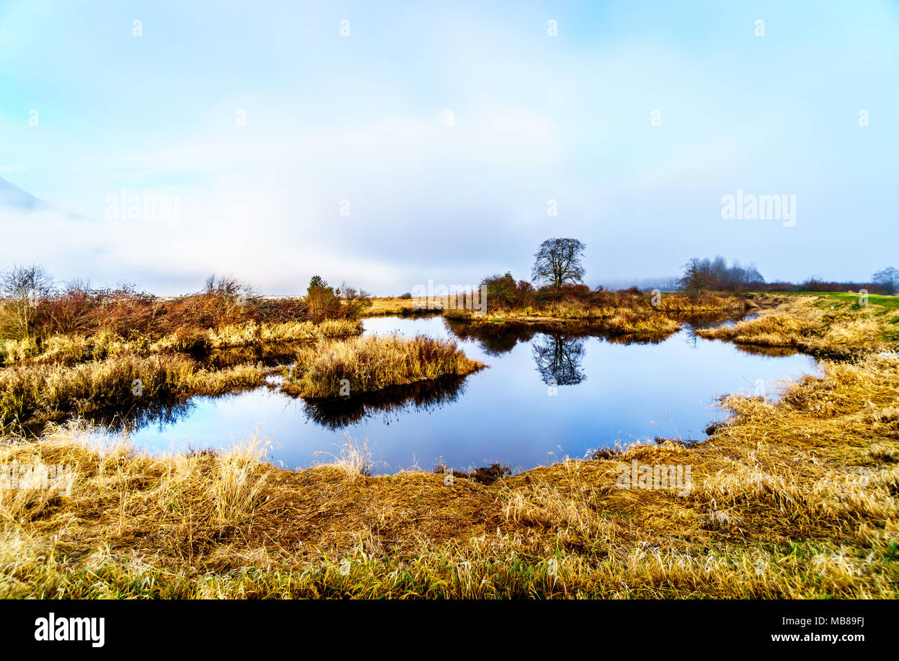 Fog hanging over the Pitt River and the waters of Pitt-Addington Marsh in Pitt Polder near Maple Ridge in British Columbia, Canada Stock Photo