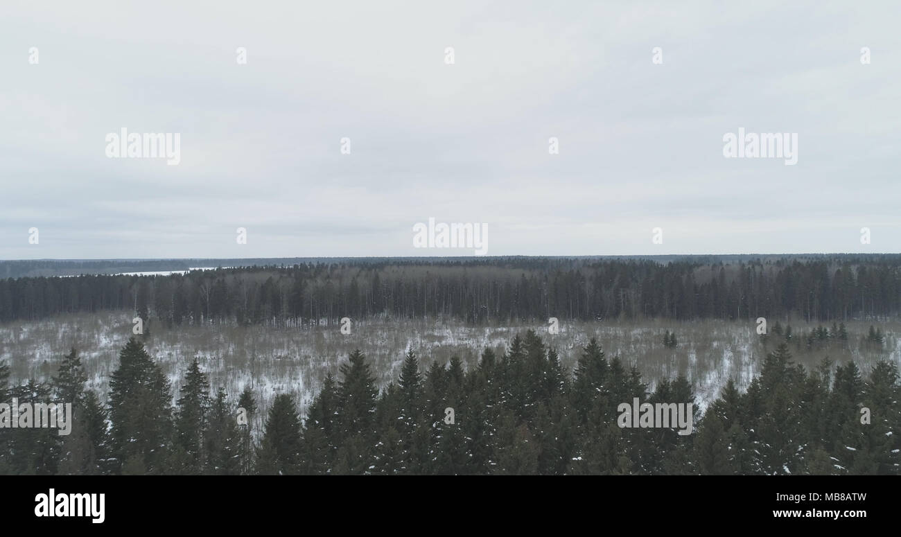 Aerial flight over old wood hi-res stock photography and images - Alamy