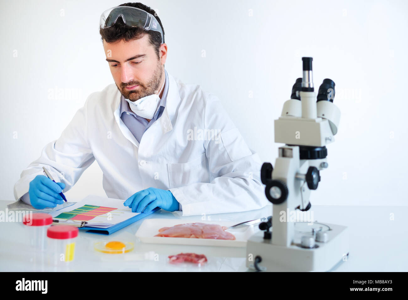 Researcher wearing safety goggles and white coat analyzing quality of GMO meat sample while standing at modern laboratory Stock Photo