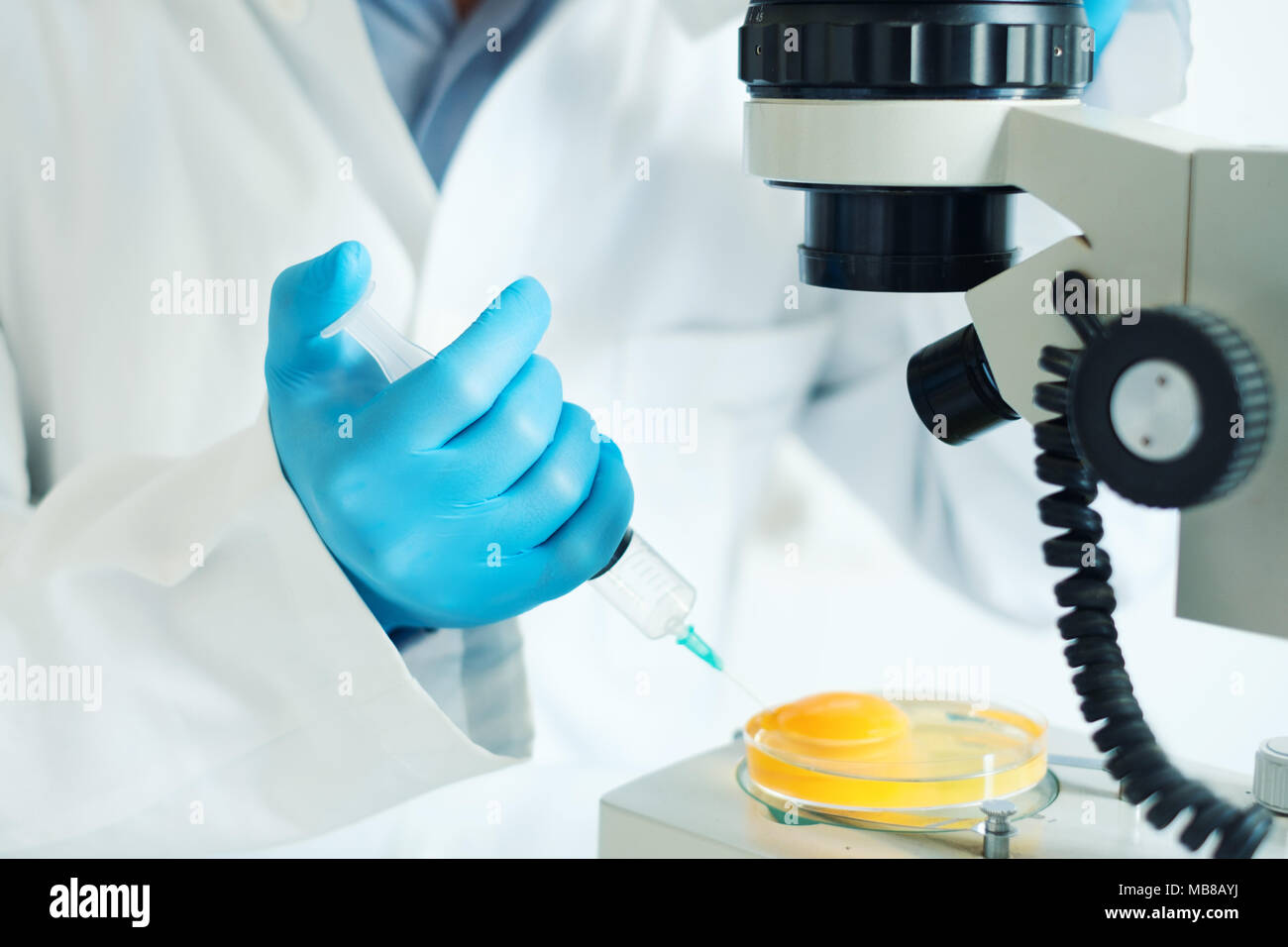 test egg hires stock photography and images Alamy