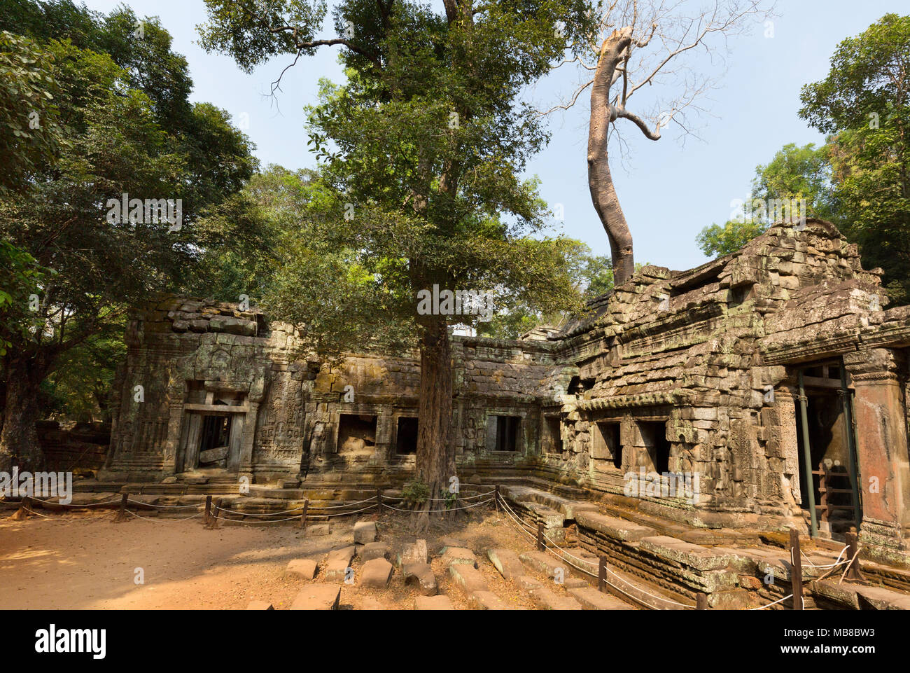 Ta Prohm - ancient Cambodia temple, Angkor UNESCO World Heritage site, Cambodia South East Asia Stock Photo
