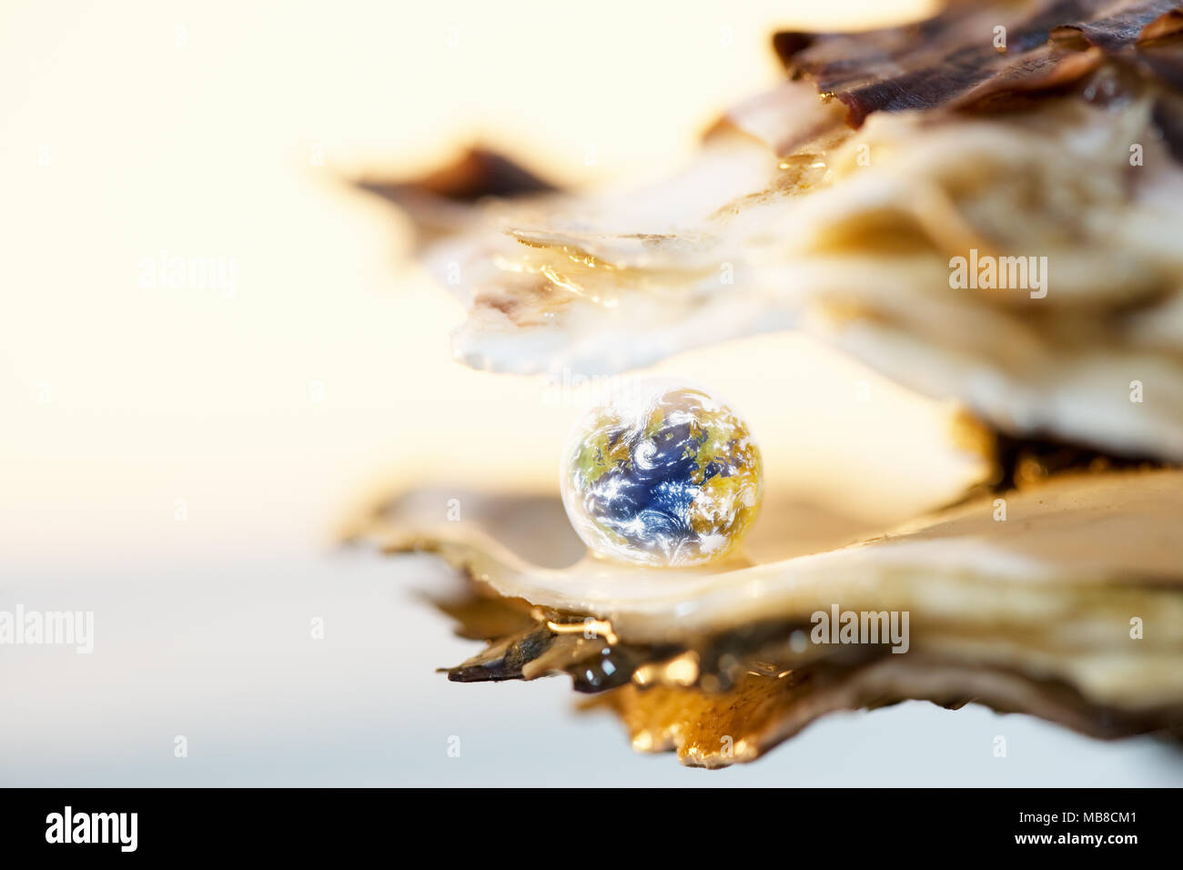 Planet earth in an oyster shell Stock Photo