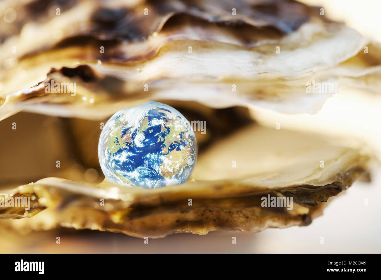 Planet earth in an oyster shell Stock Photo