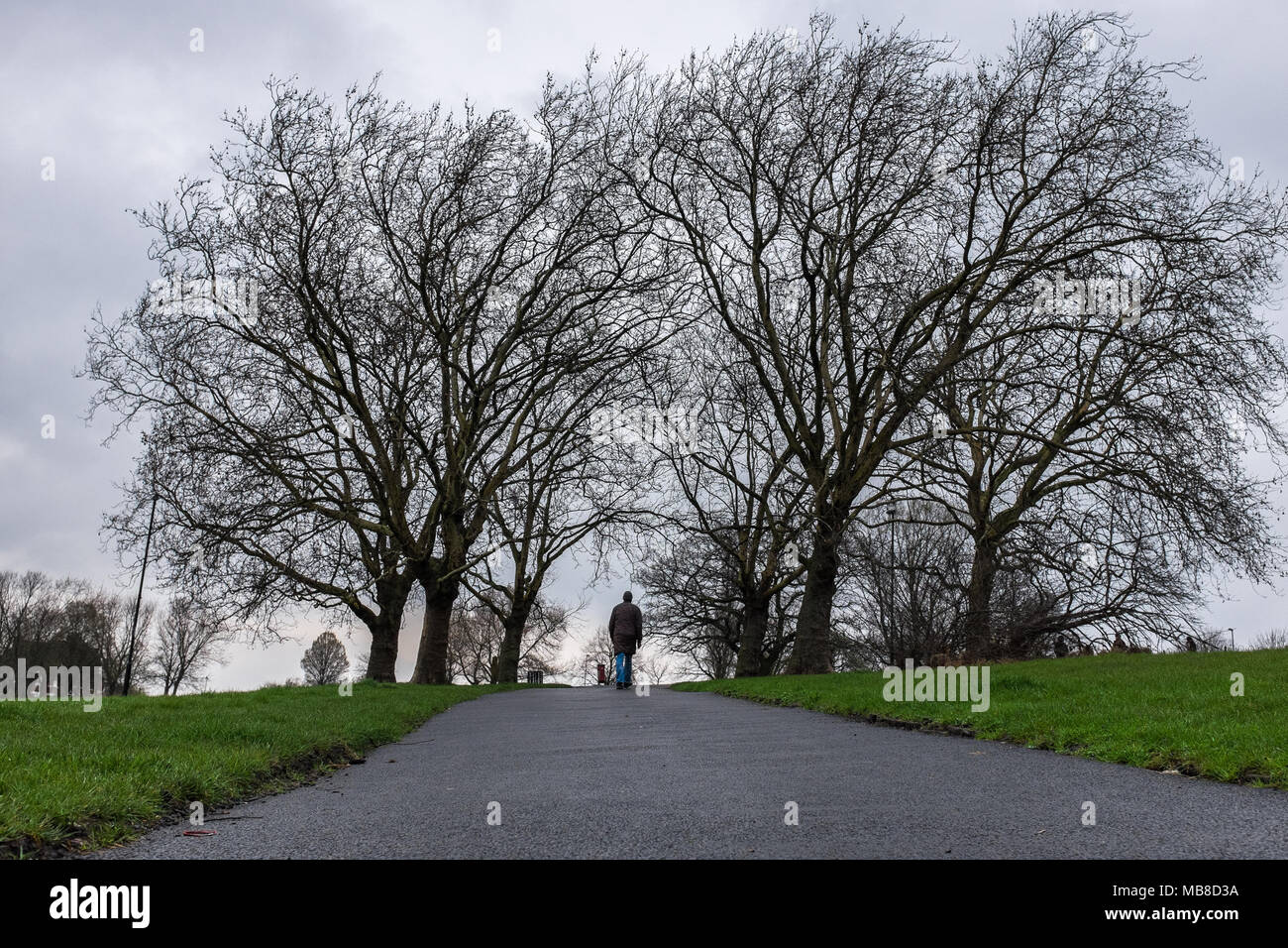Man Walks Through Gap In The Trees at Hilly Fields, Brockley, London