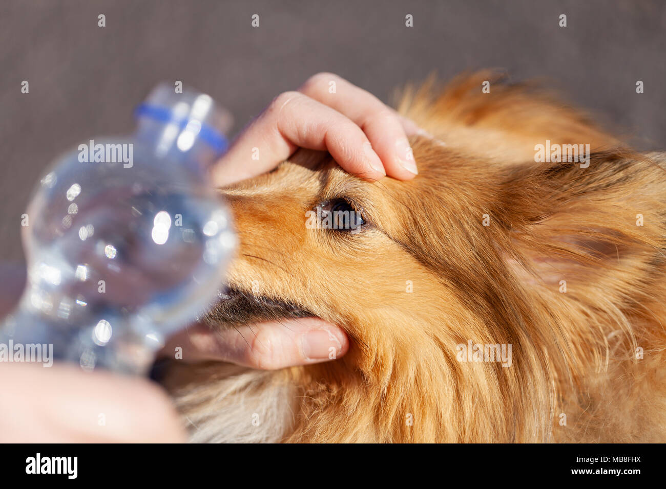 Eye wash hi-res stock photography and images - Alamy