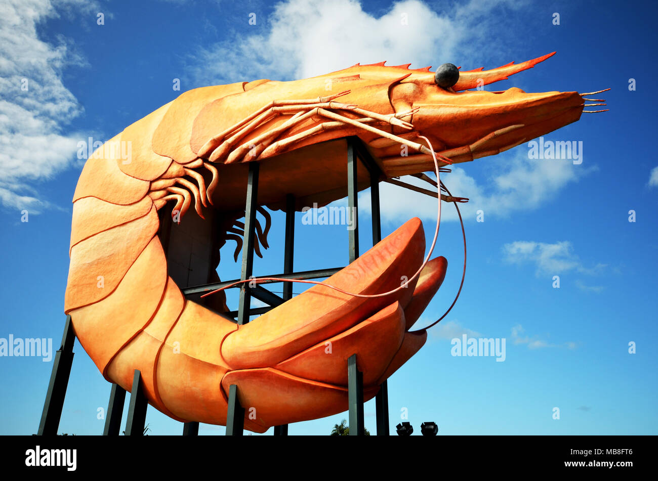 The big prawn at Ballina NSW Australia Stock Photo
