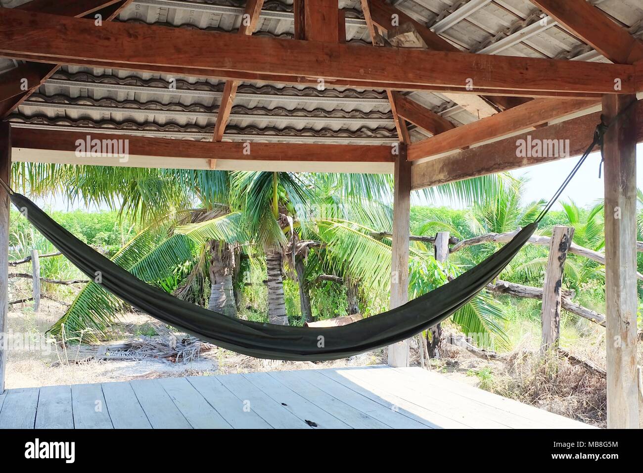 Relaxation Concept, The Hanging Hammock in Coconut Palm Garden. A Sling