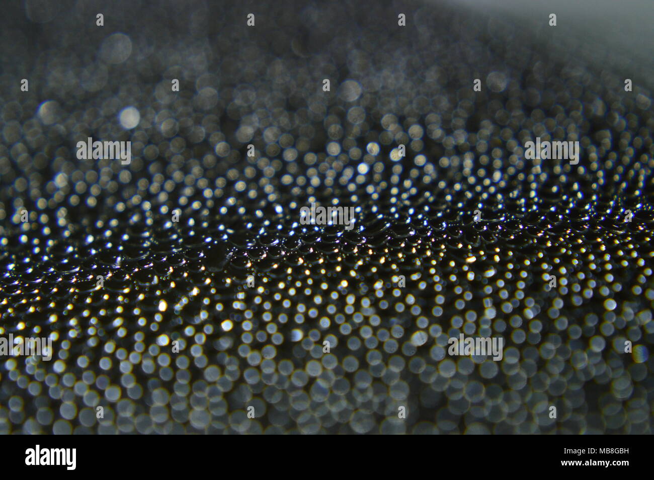 Rainbow effect on condensation droplets 20x magnification Stock Photo