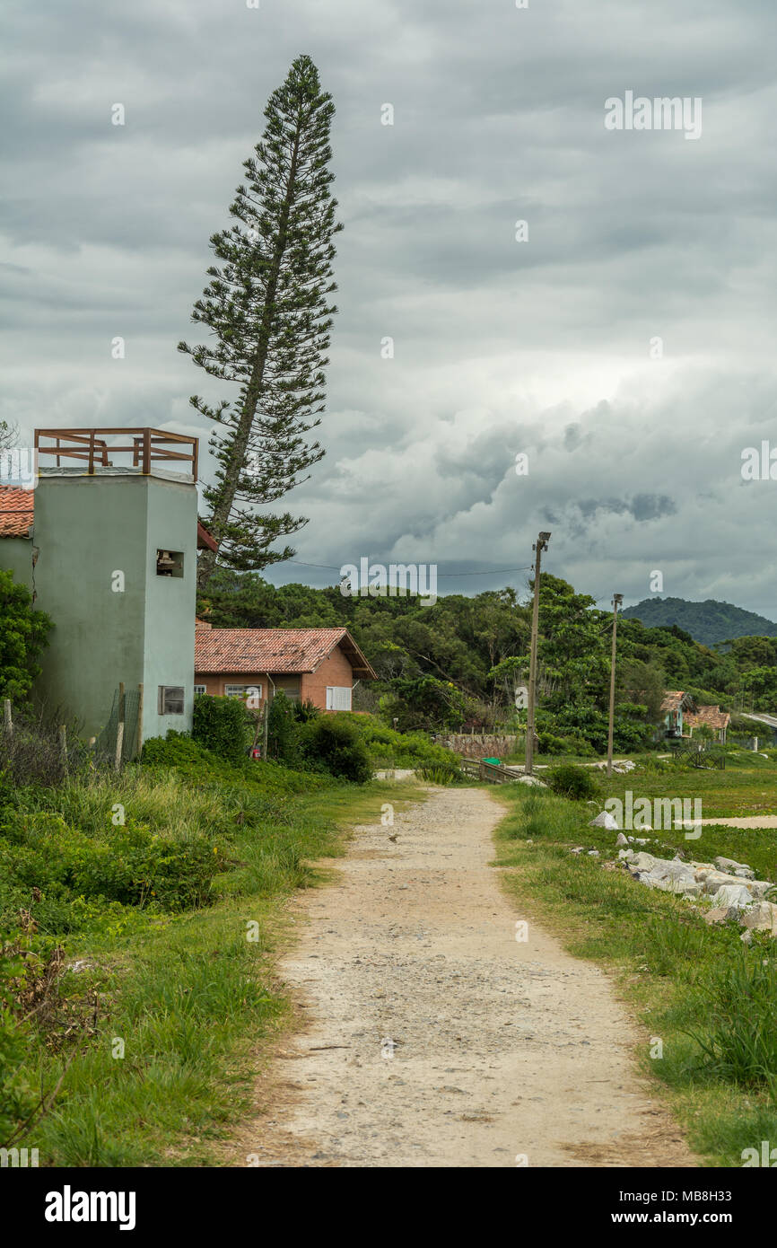 Florianopolis, Brazil. February, 2018. Small bowlder and sand path, a house and a typical pine tree on the Armacao Beach (Praia da Armacao). Stock Photo