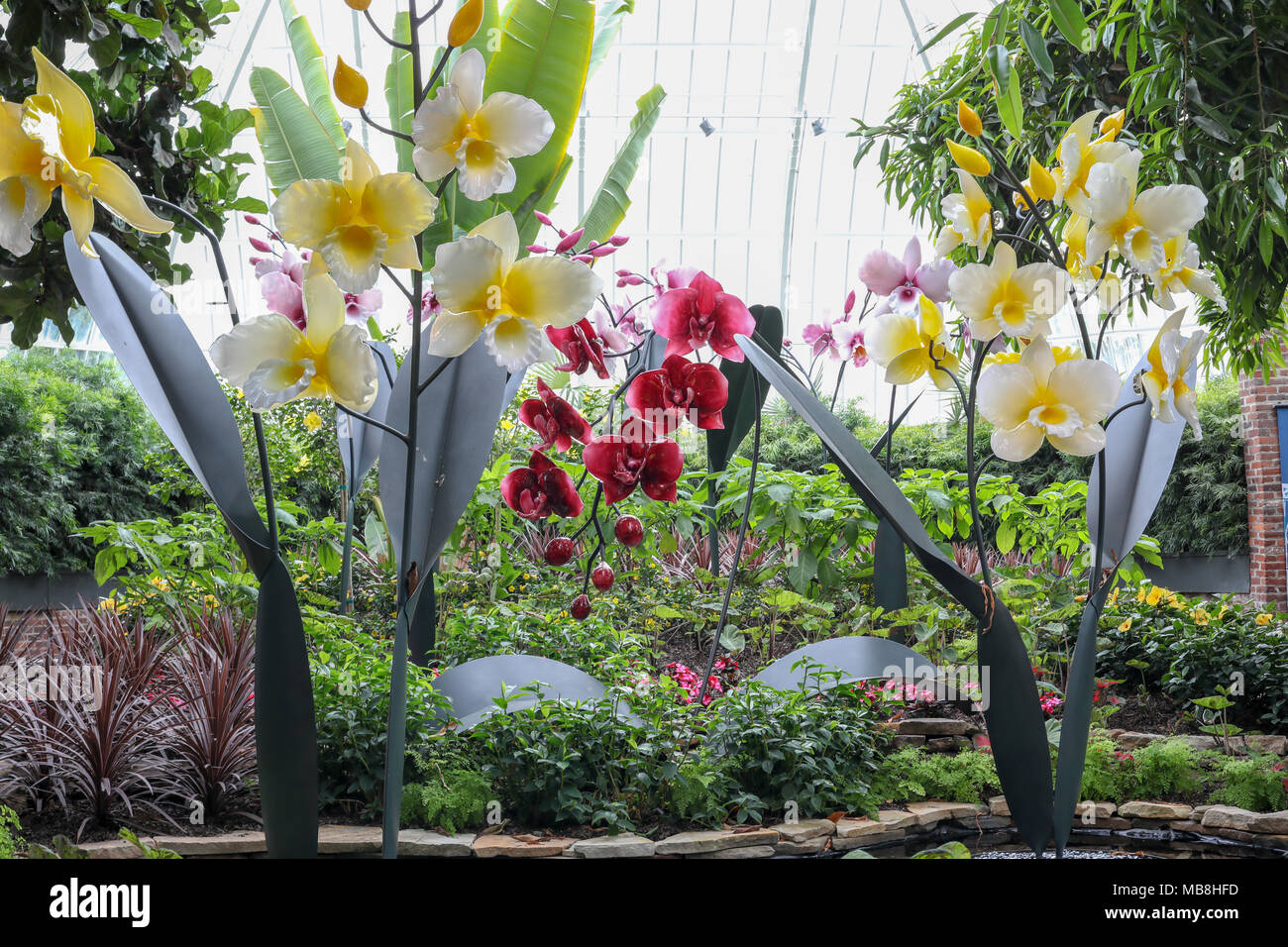 Intermixed Definition Beautiful mages of Orchids shot at Phipps Conservatory, intermixed with ...
