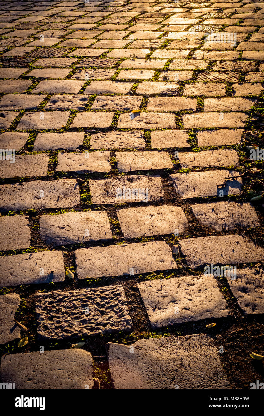 garden's pavement of lava stone blocks, at sunset Stock Photo