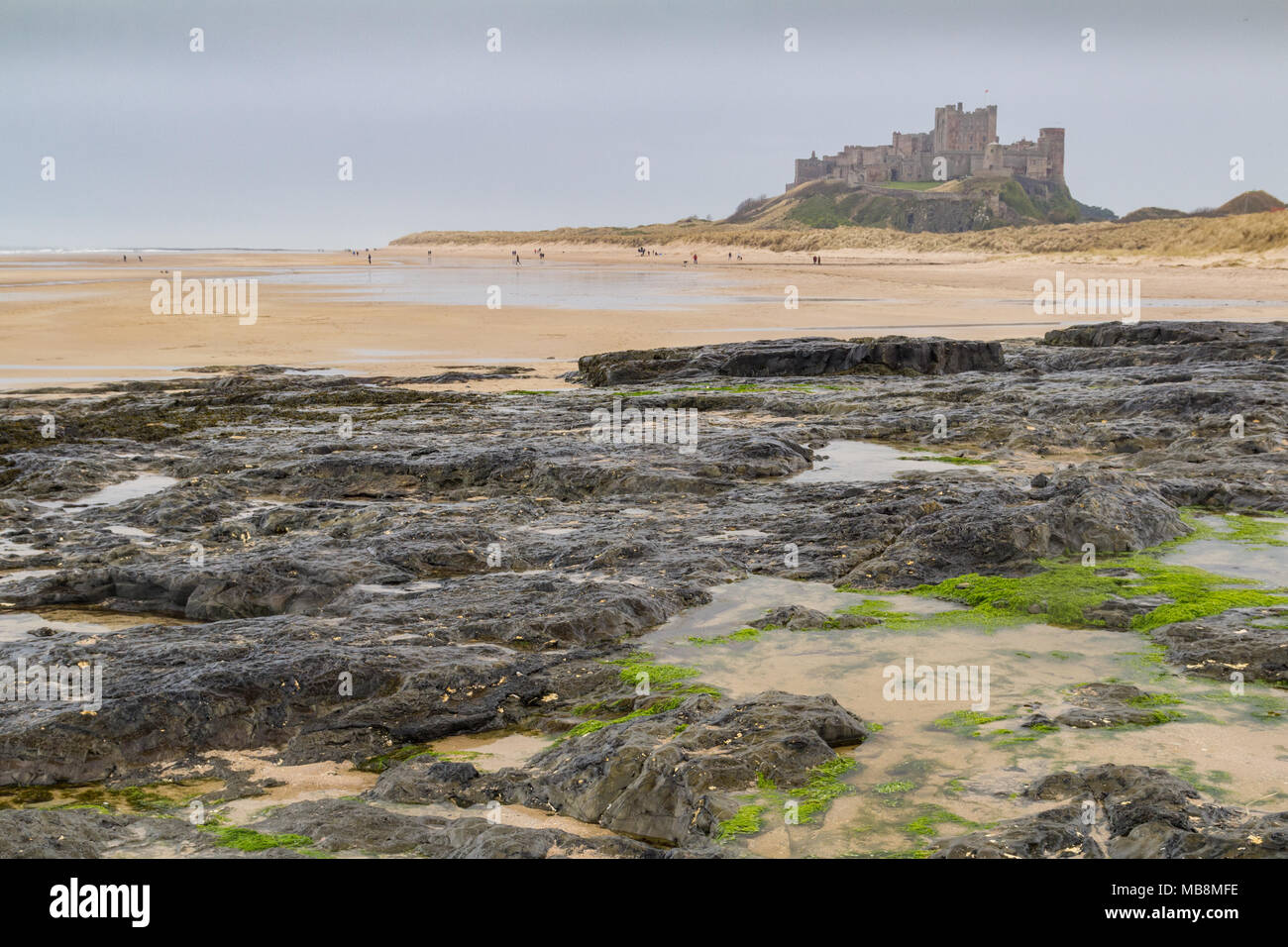 A misty wet day at Bamburgh beach Stock Photo Alamy