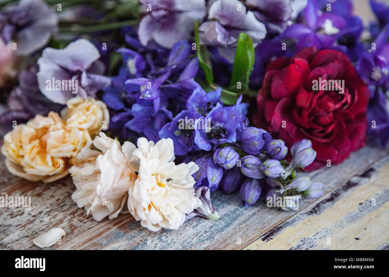 Cut flowers for celebration decorations Stock Photo