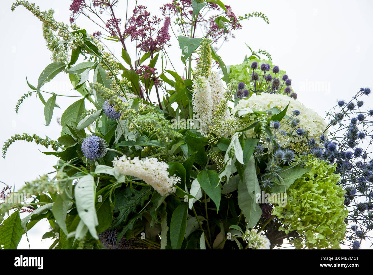 English cut flowers hi-res stock photography and images - Alamy