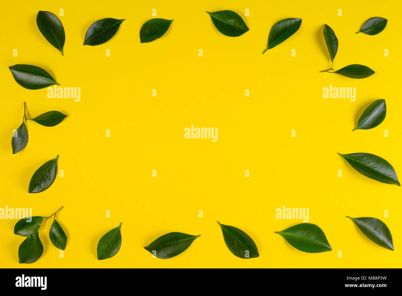 Green tree leaves frame with yellow background Stock Photo - Alamy