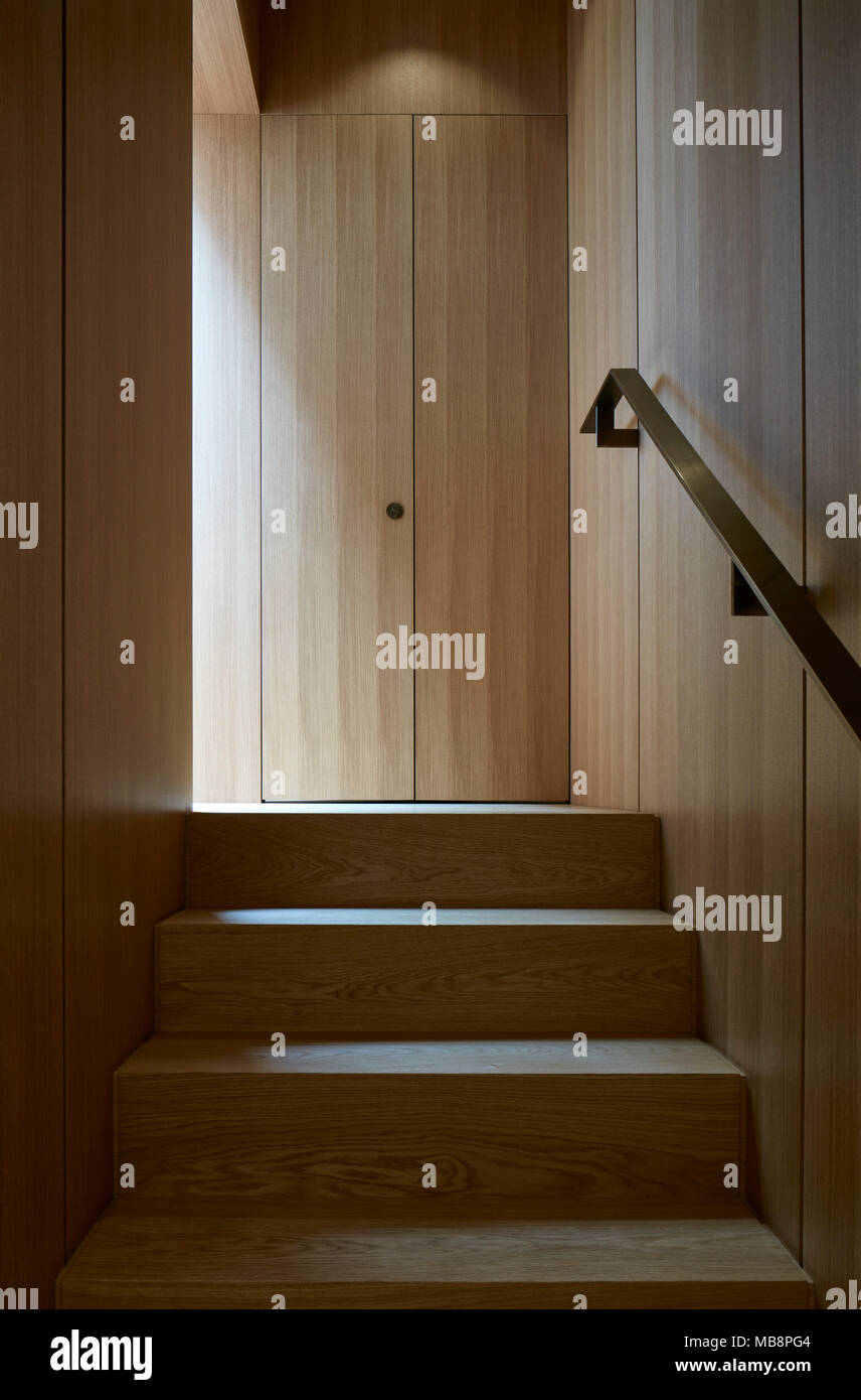 Stair case. Hidden House, London, United Kingdom. Architect: LTS